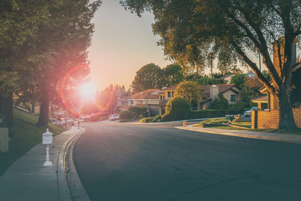 Mark Hein Dream Neighborhood