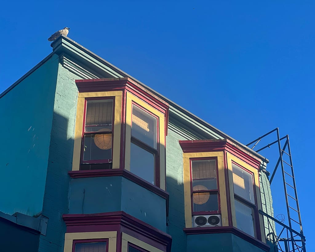 Mark Hein Real Estate Snapshot